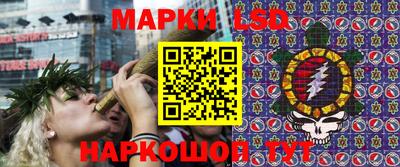 2c-b Кингисепп