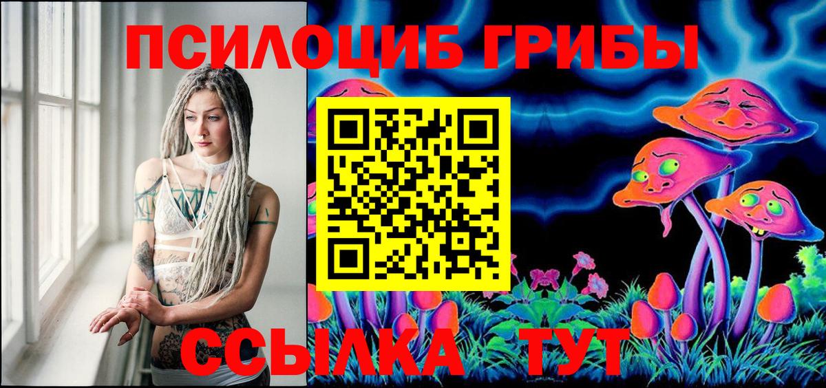 Галлюциногенные грибы Psilocybine cubensis  Вход с VPN  Верхняя Салда 