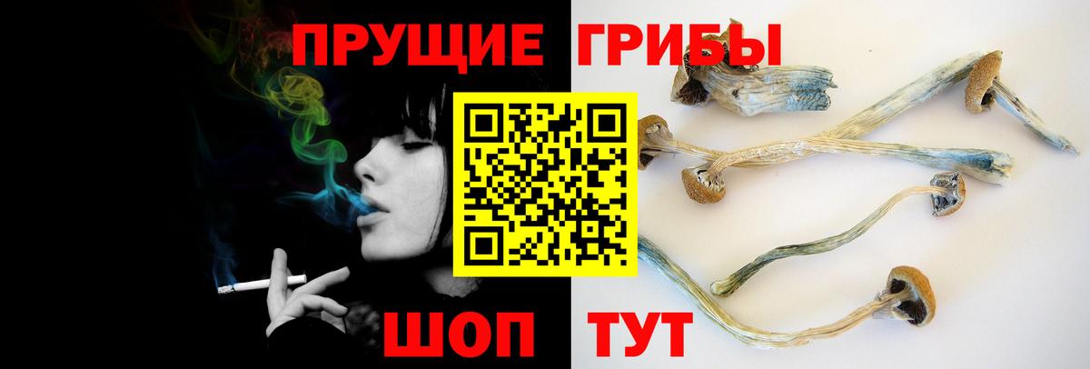 Галлюциногенные грибы мухоморы Верхняя Салда